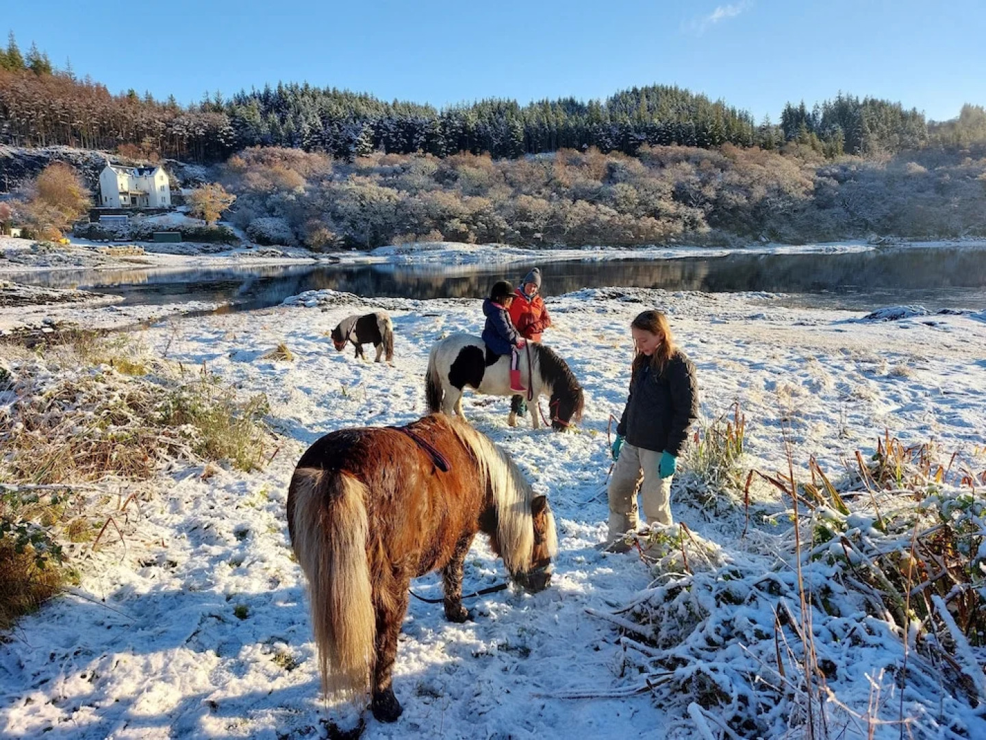 The Tower, our Scottish Castle in Miniature