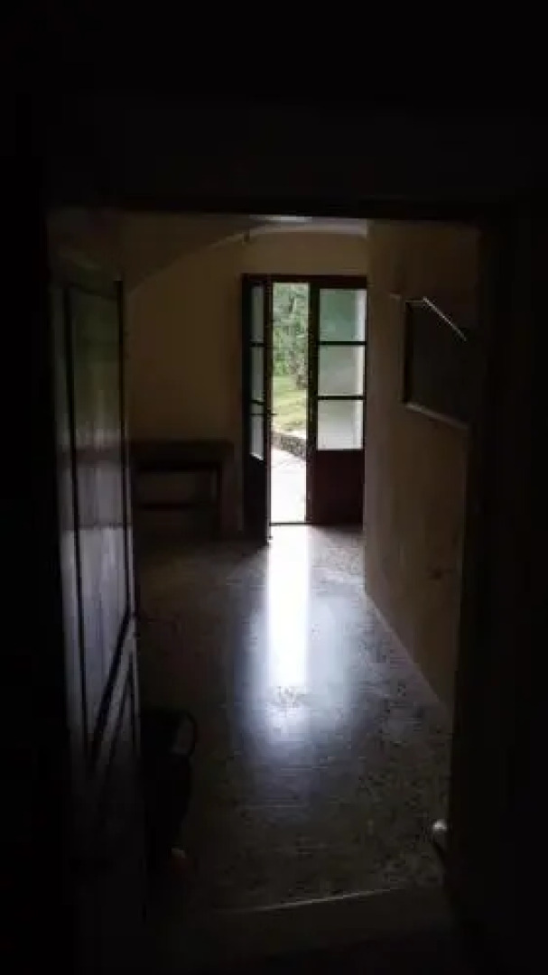 San Francesco E Il Lupo