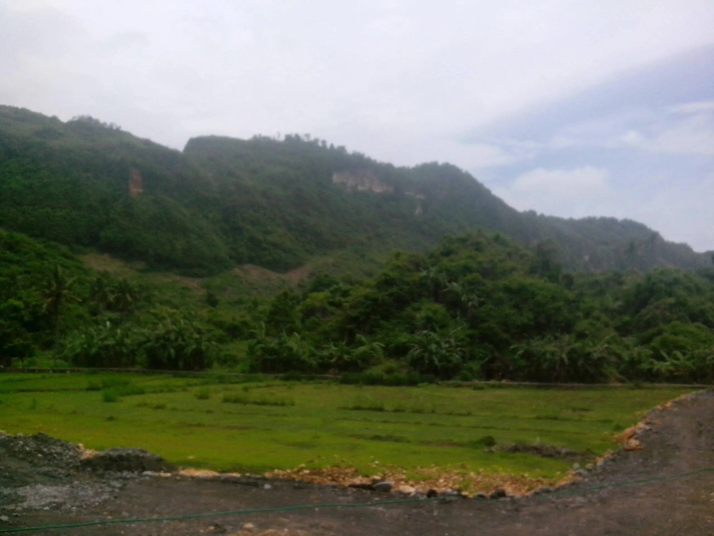 Queen of The South Resort