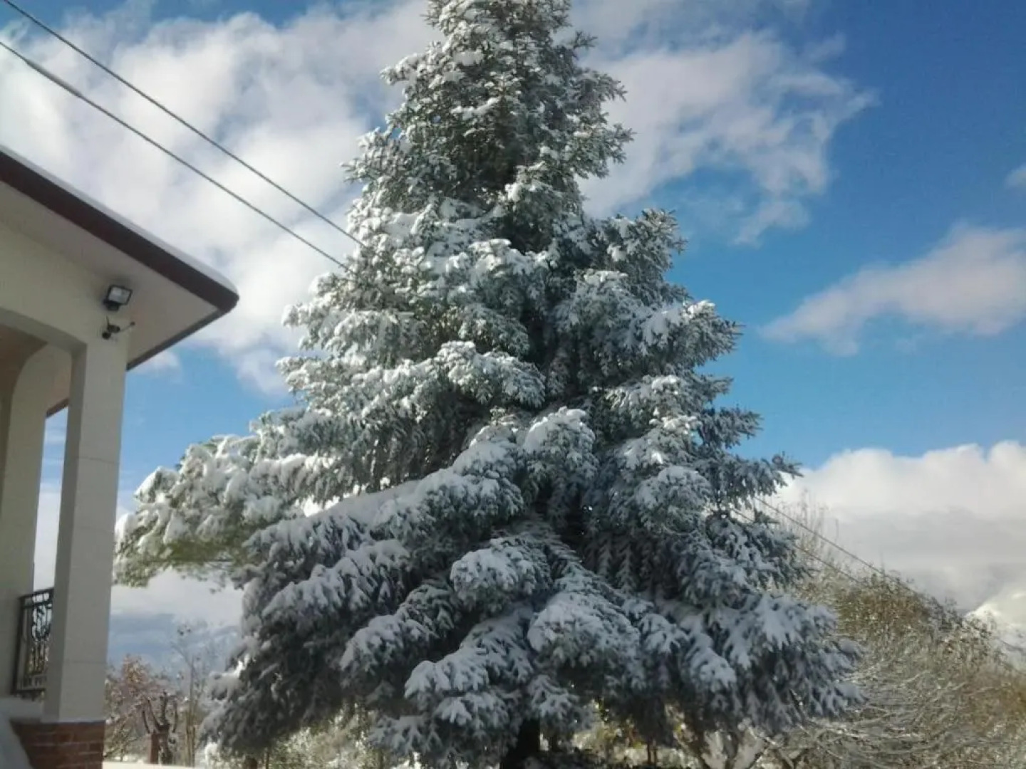 Agriturismo Persichitti