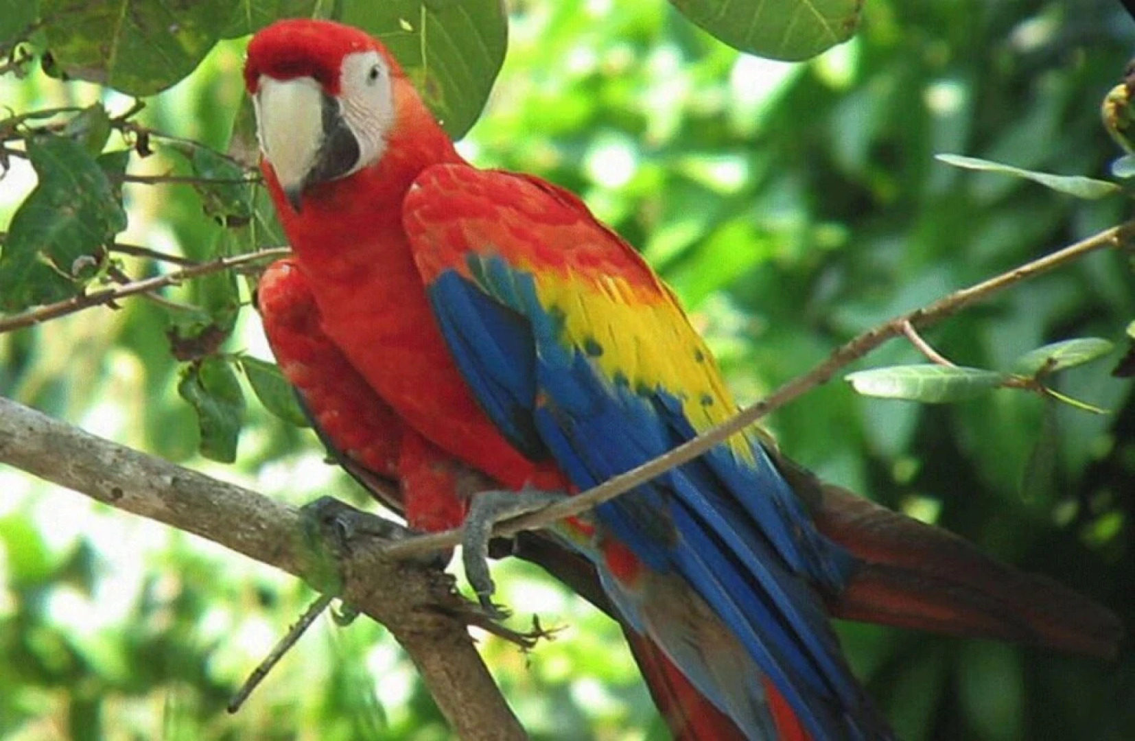 Gran América Pádel Club