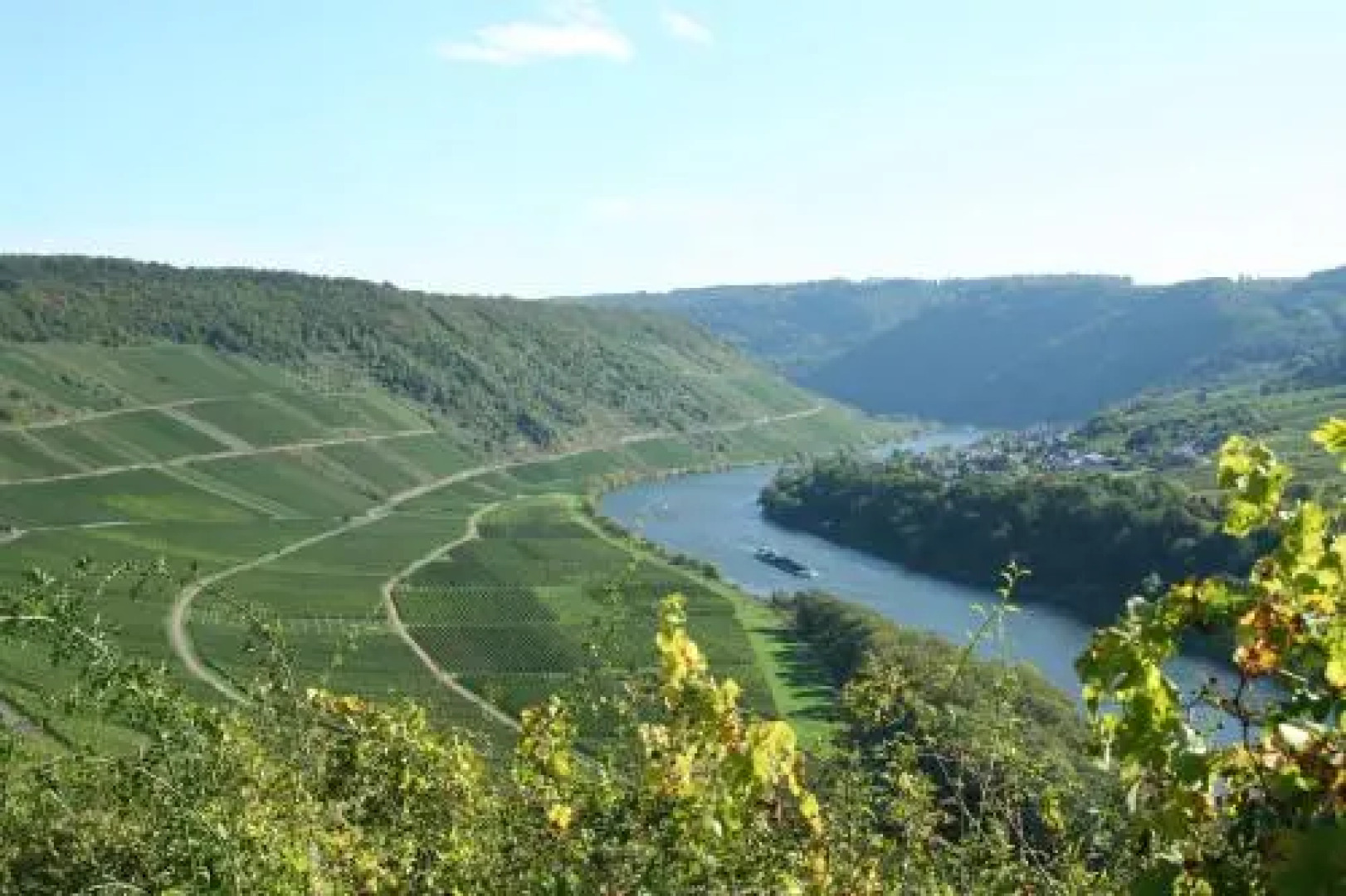 Ferienweingut Hensler