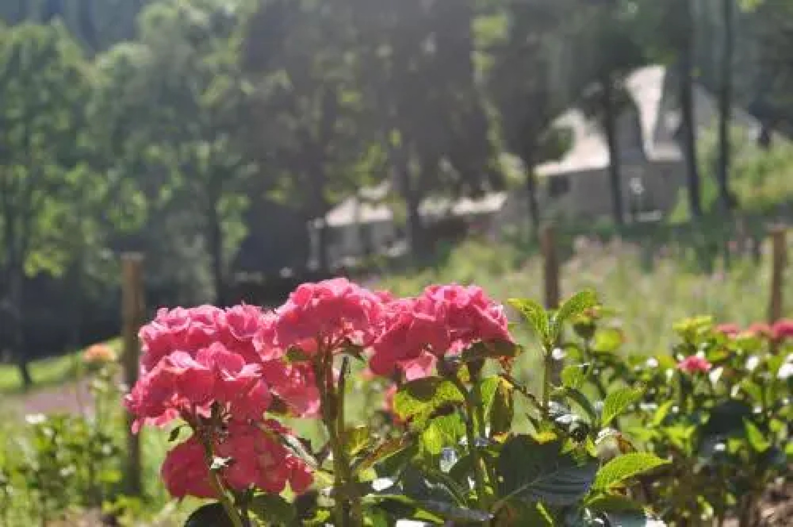 Domaine du Lac Ferrand