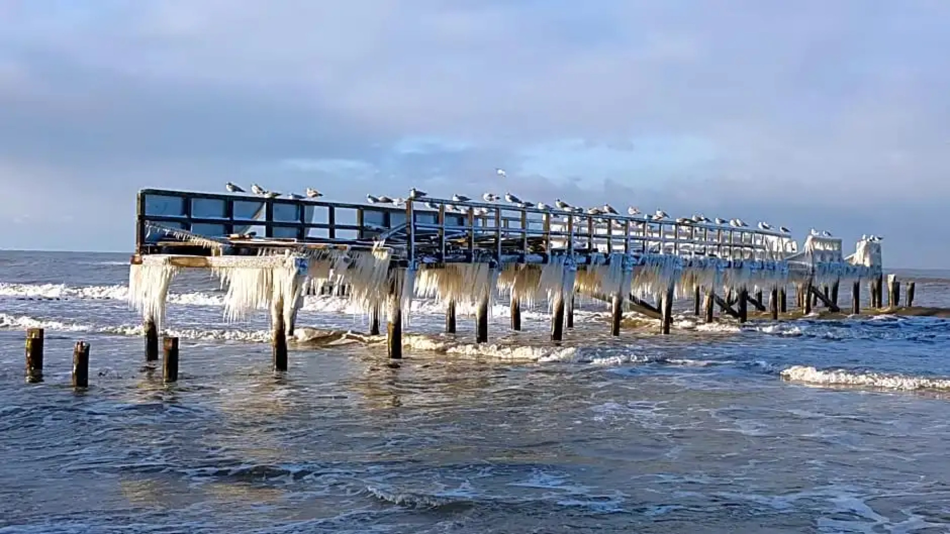 Tropikana Domki Apartamenty