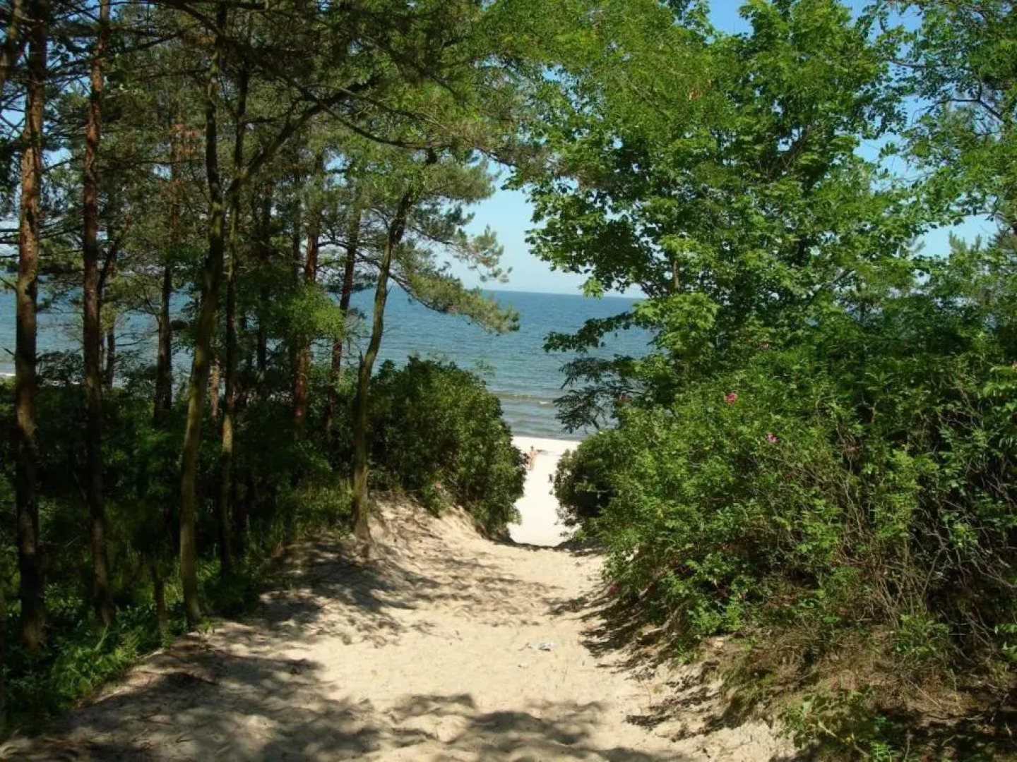 Ośrodek Wypoczynkowy Amber