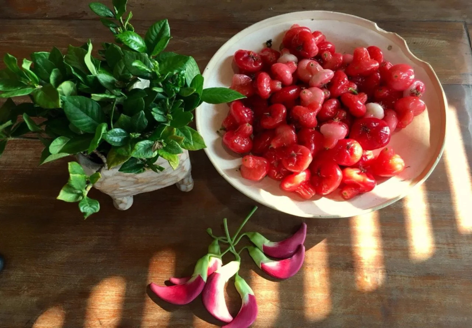 Gingerbread House B&B