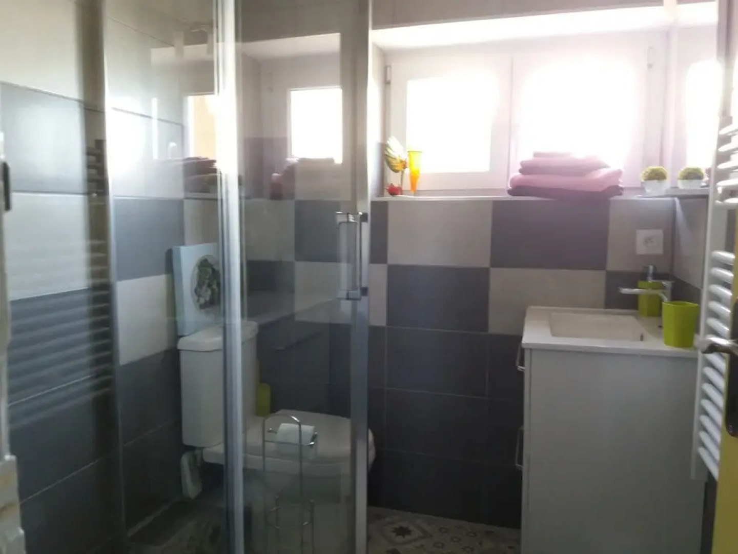 Les Oiseaux de Passage