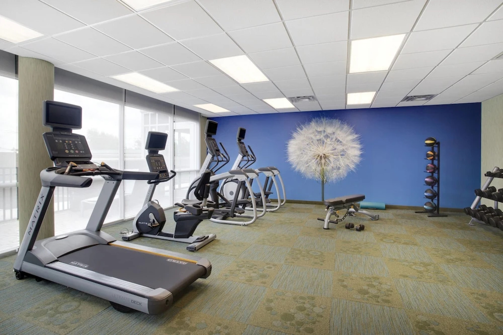 SpringHill Suites Murray