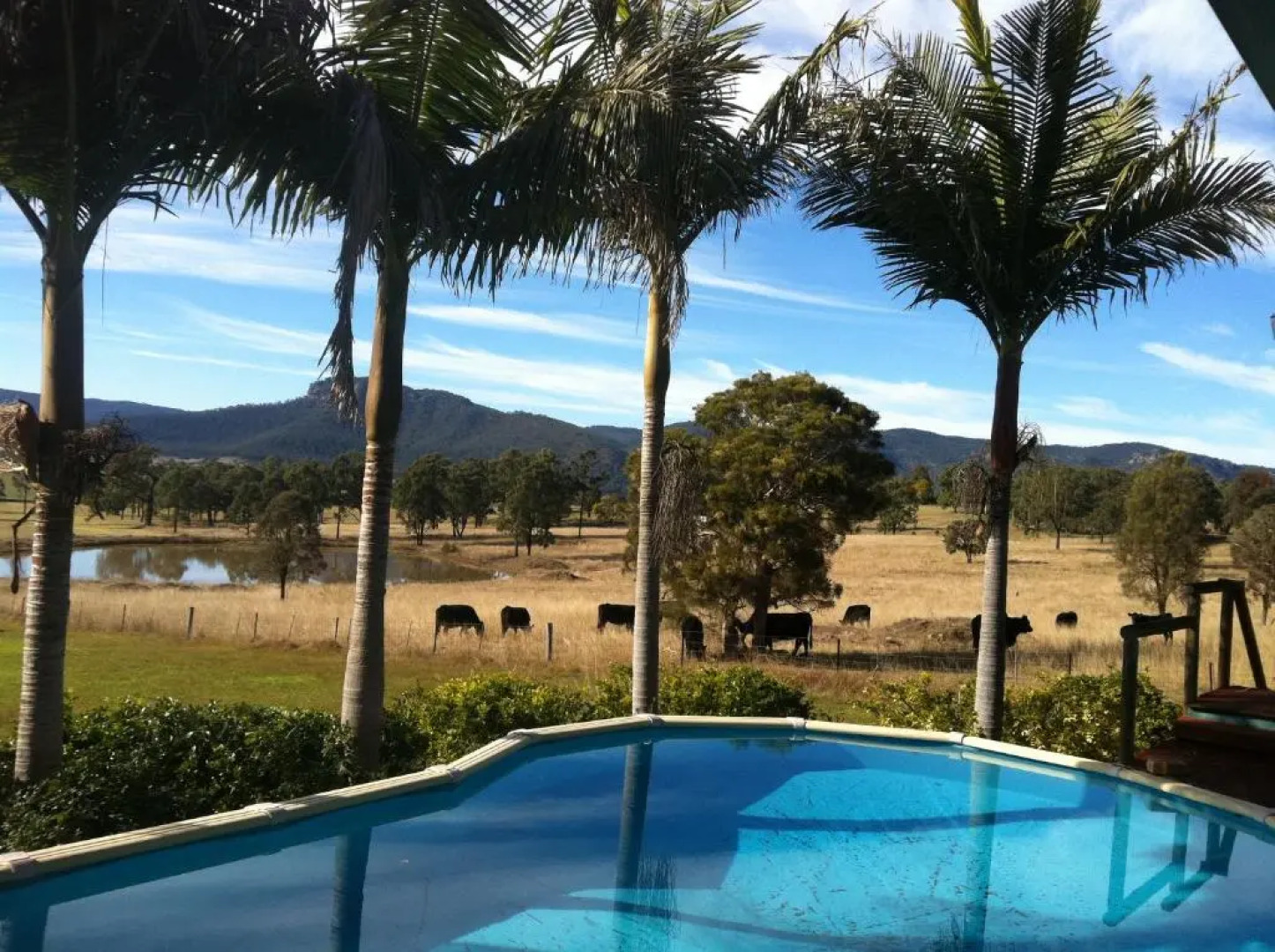 Starline Alpacas Farmstay Resort