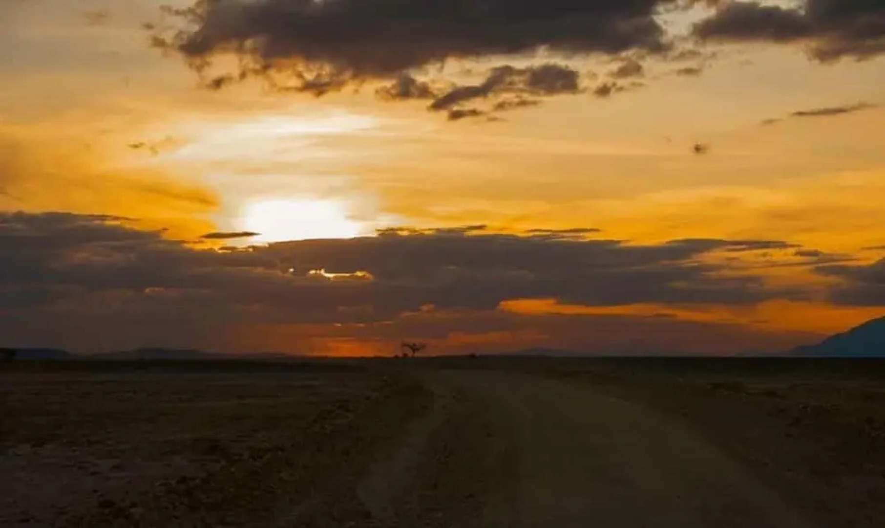 Amanya 1-bed Zebra Tent