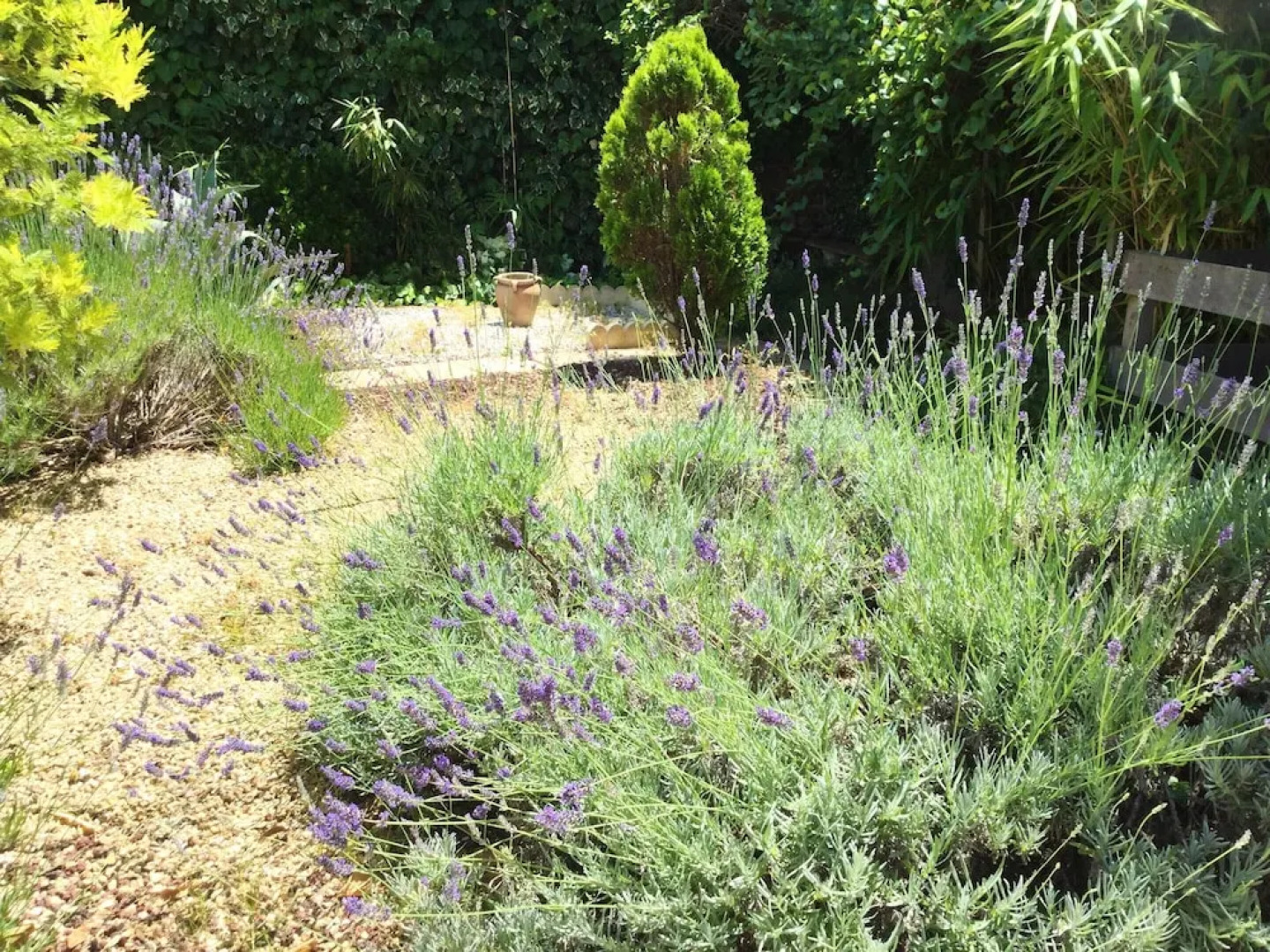 Apartment With 2 Bedrooms in Marseillan, With Wonderful City View, Poo