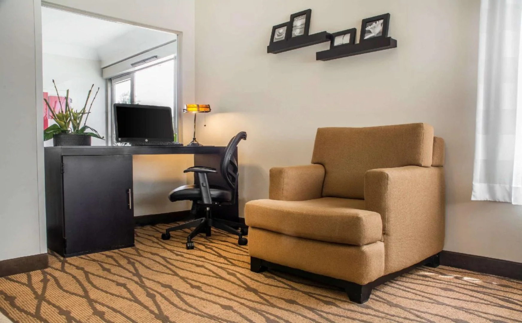 Sleep Inn Amherst - Buffalo North near University