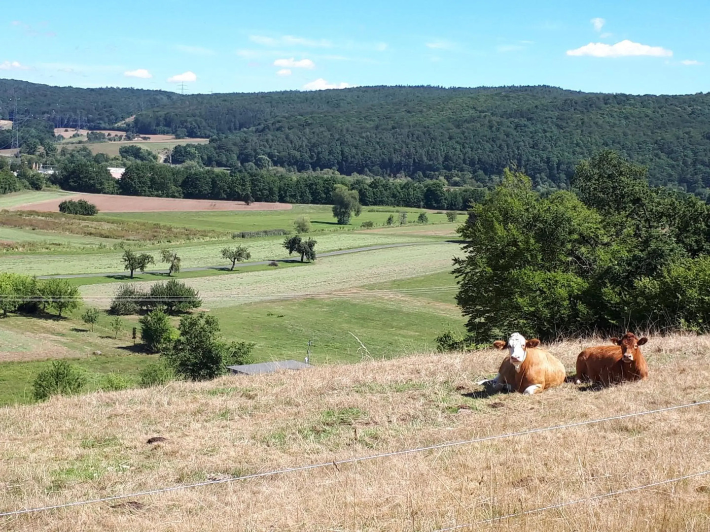 Hotel und Gasthof Spessarttor