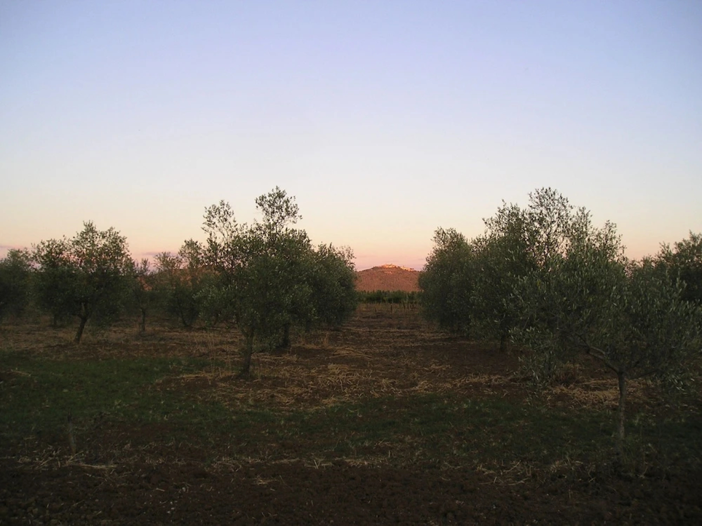 Agriturismo Benvenuti
