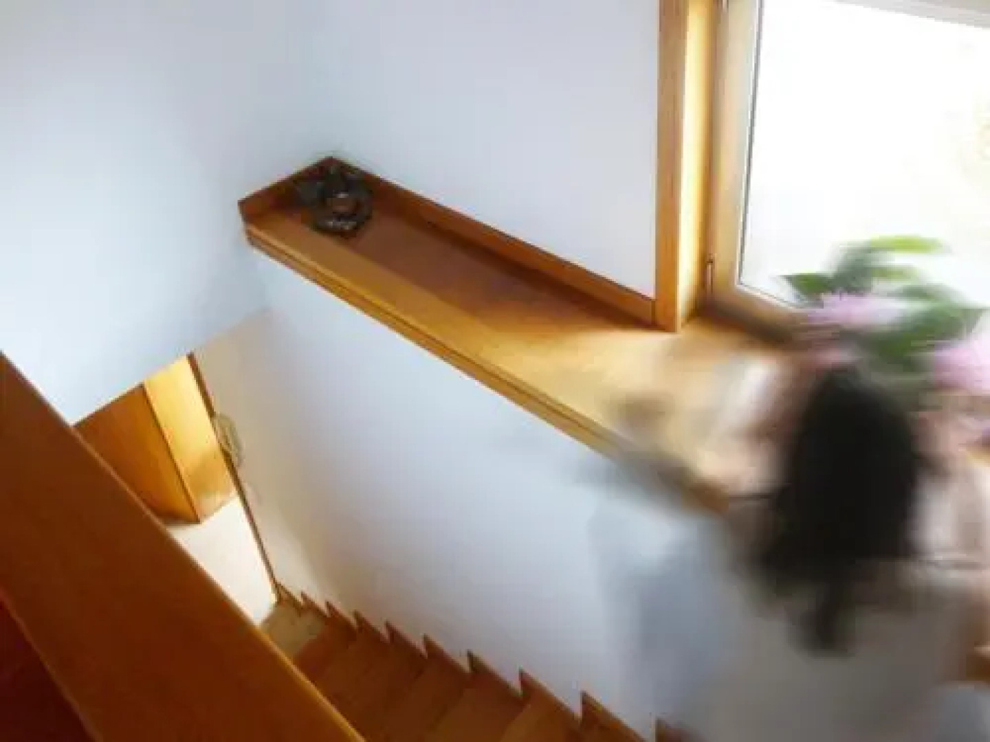 Moleiro's Country House