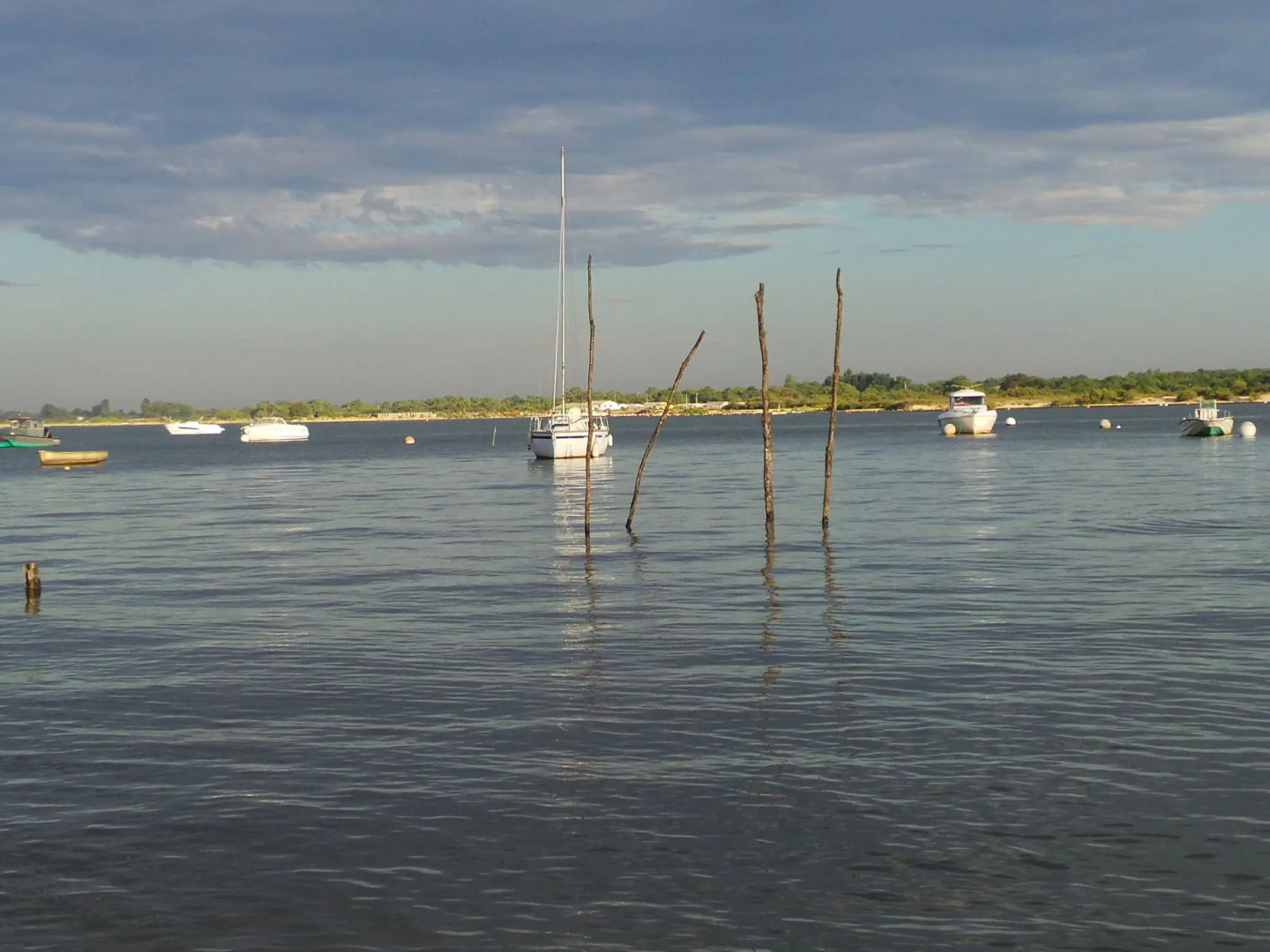 Stone House in a Vineyard, With Swimming Pool, Near Bordeaux