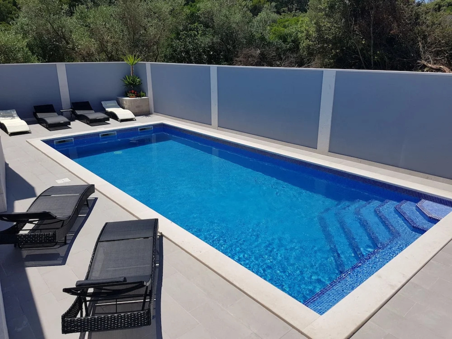 Baumgartner- Paradise Punta