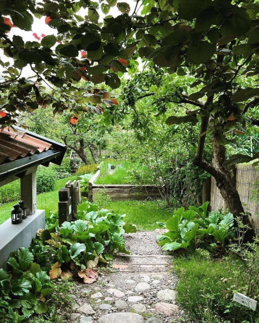 Przechowalnia Marzeń