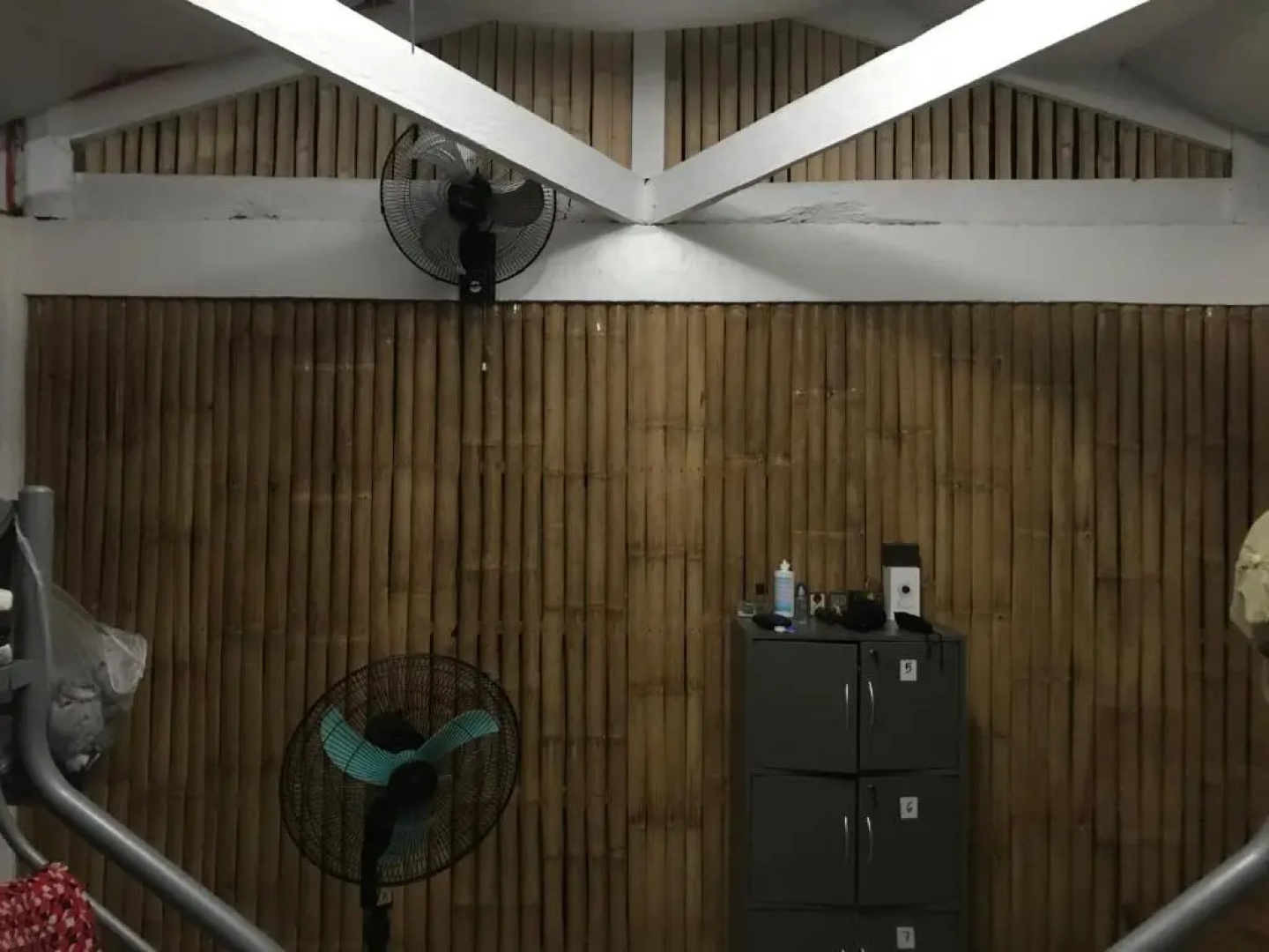 Hostel Lions