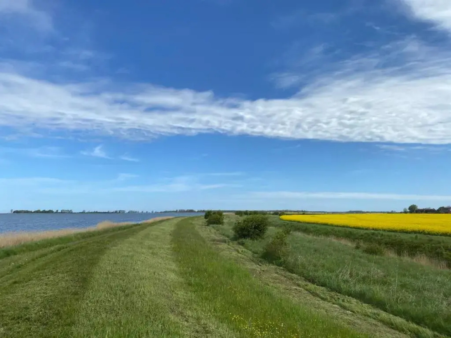 Rï¿½gen-Ferienhof