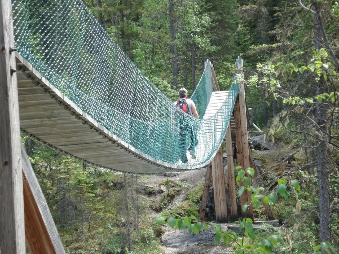 TimberWolf Lodge B&B