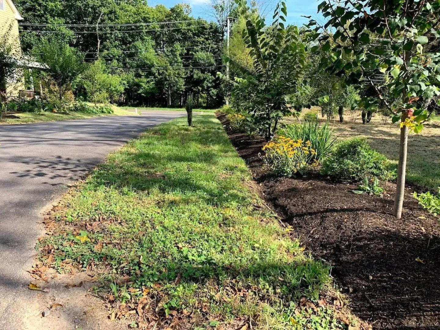 America Sandman B & B