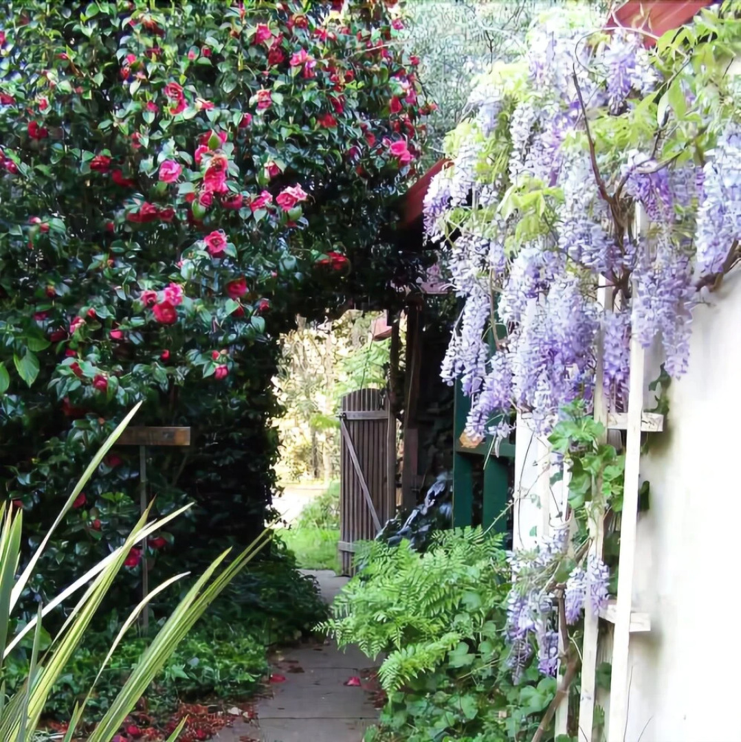 Porongurup Village Inn Cottages