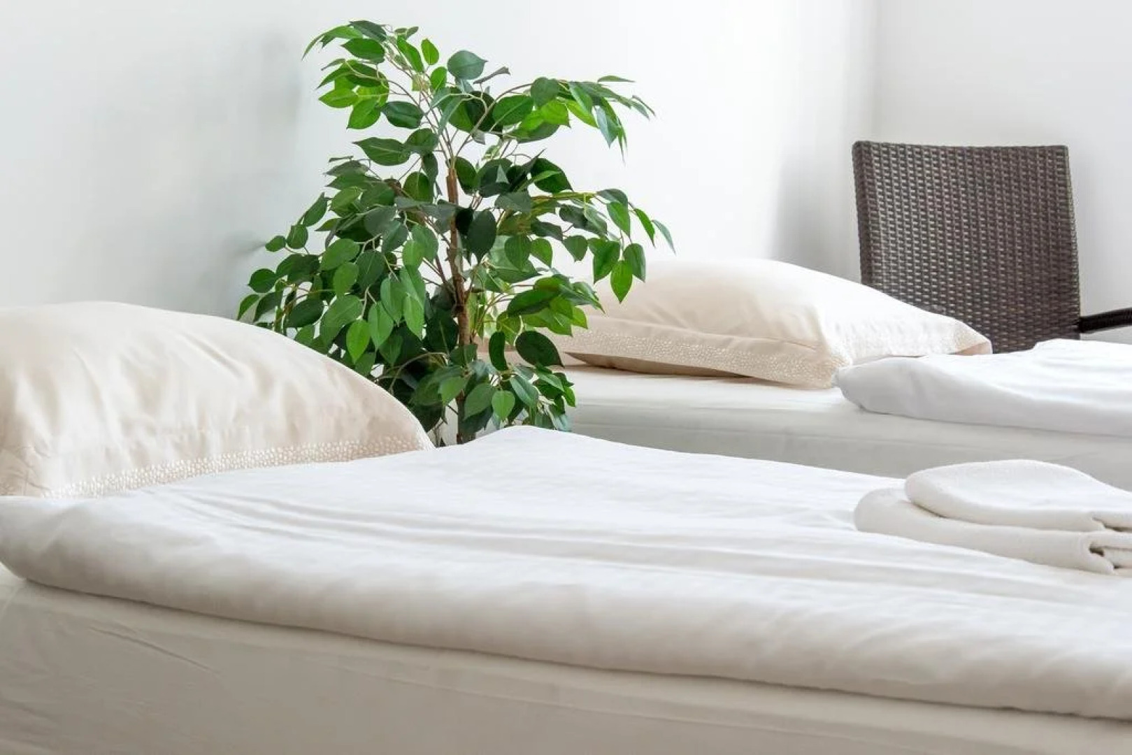 Apartmány Hradební