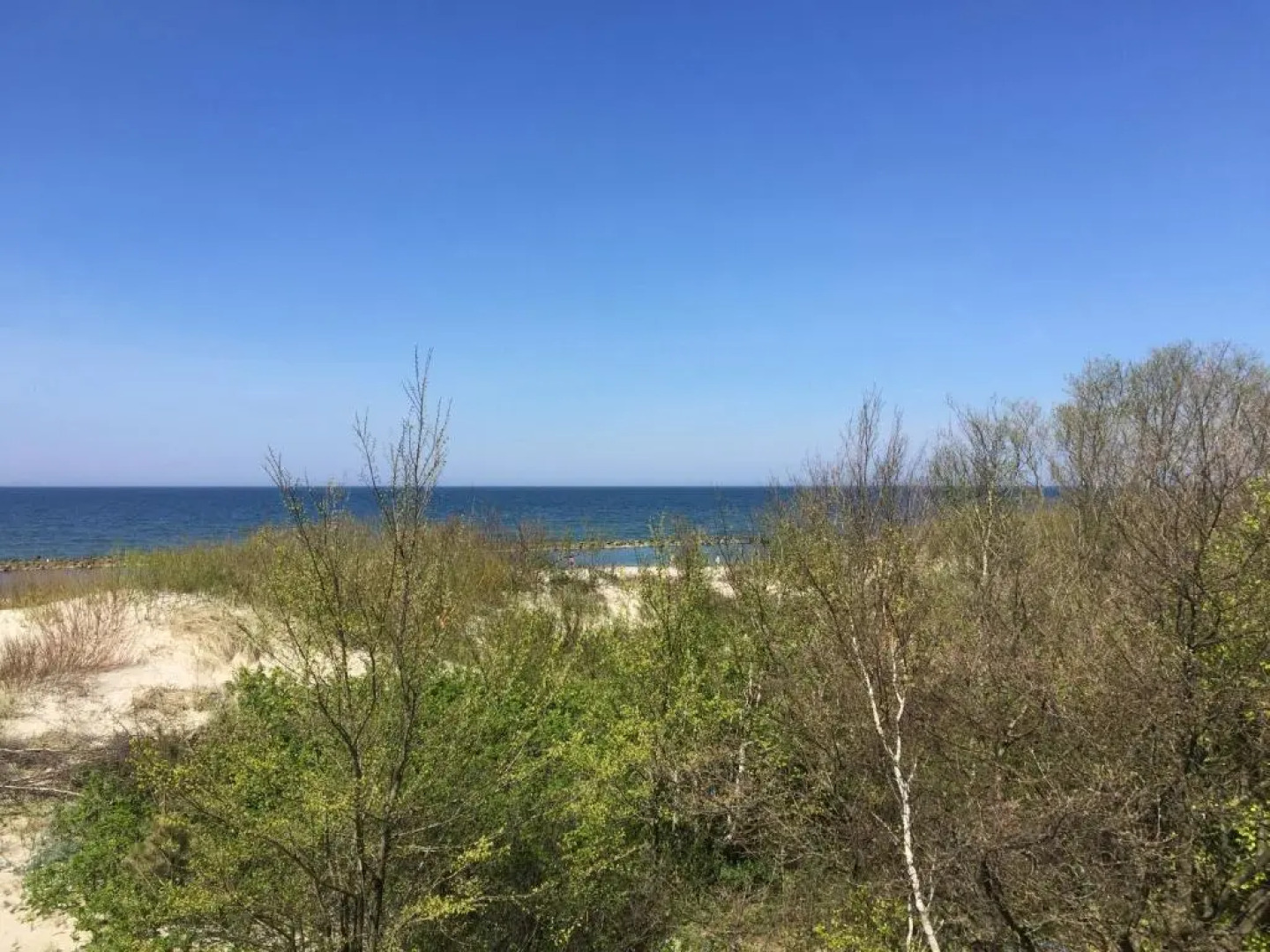 Apartamenty Amon z widokiem na morze