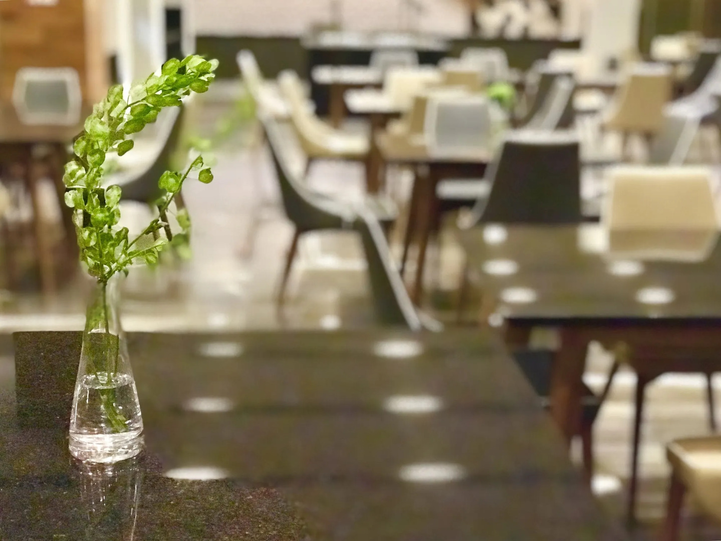 Hilton Garden Inn Aguascalientes