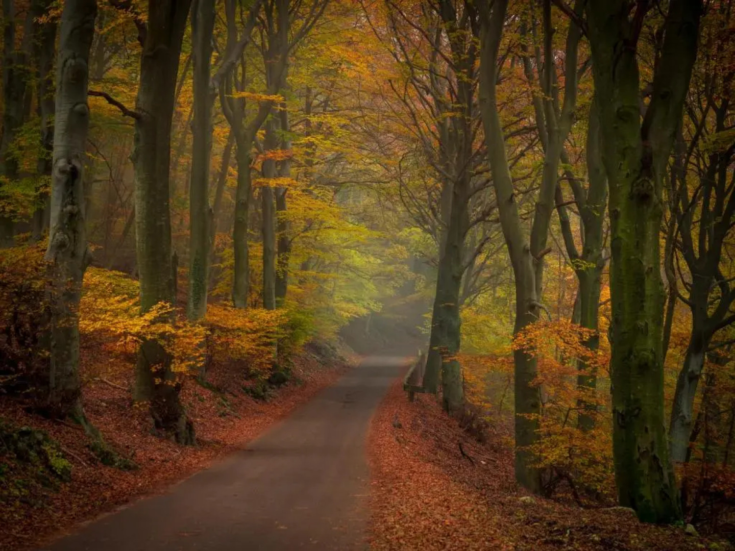 Palazzo Mia By Icasamia