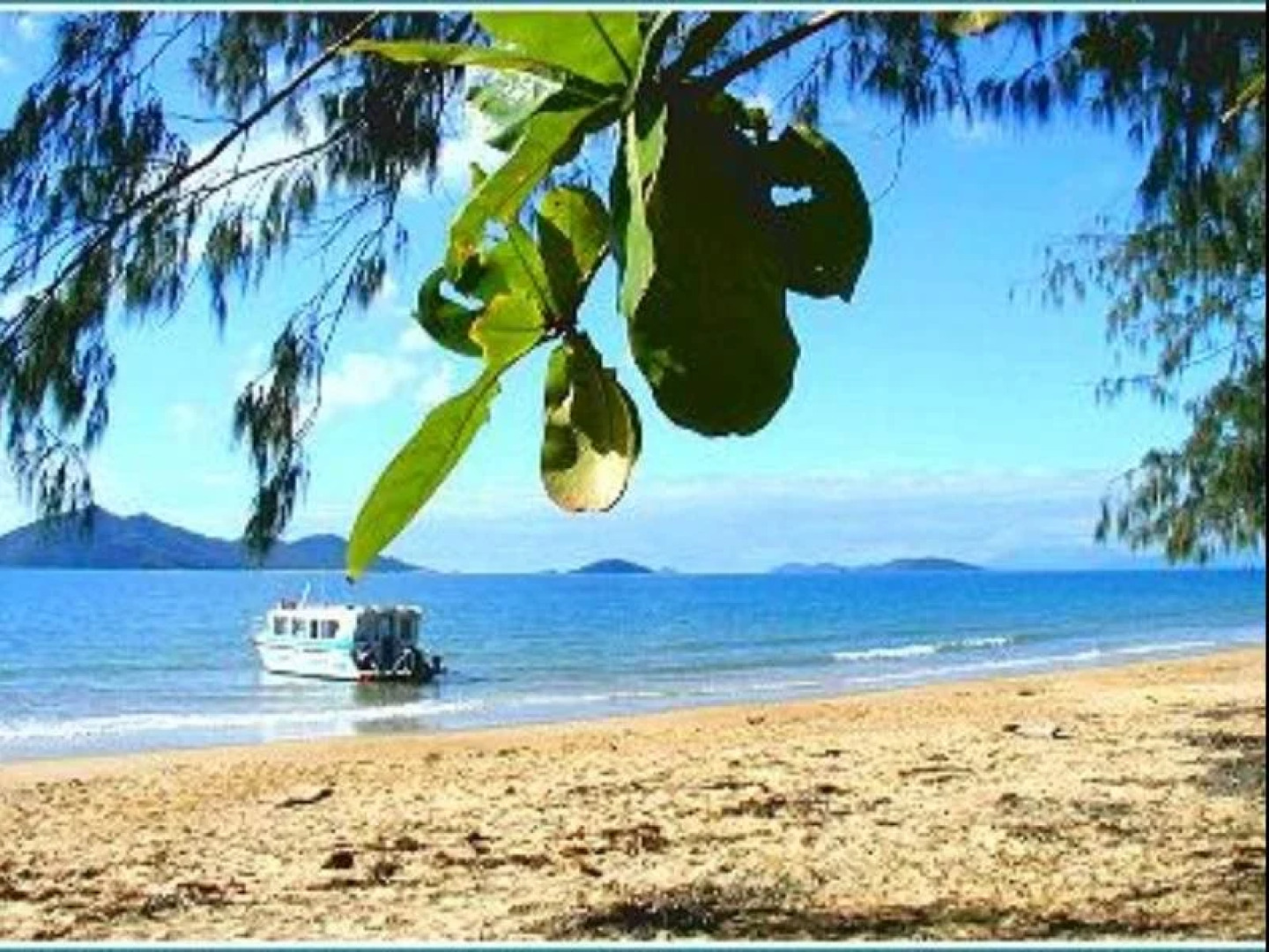 Mission Beach Shores