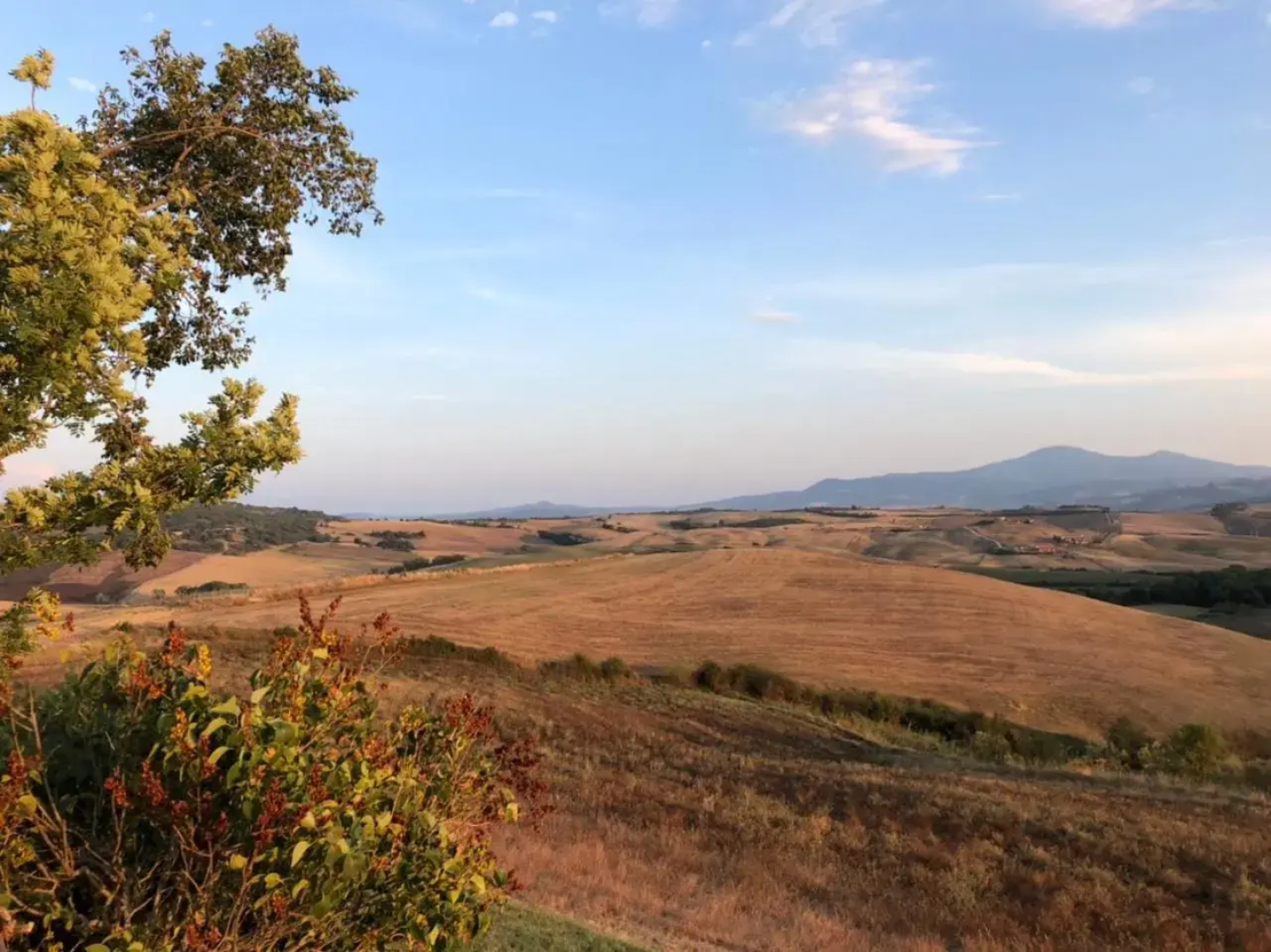 Podere Poggio Salto