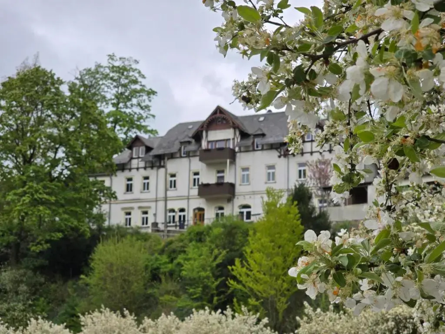 Burgkeller Tharandt