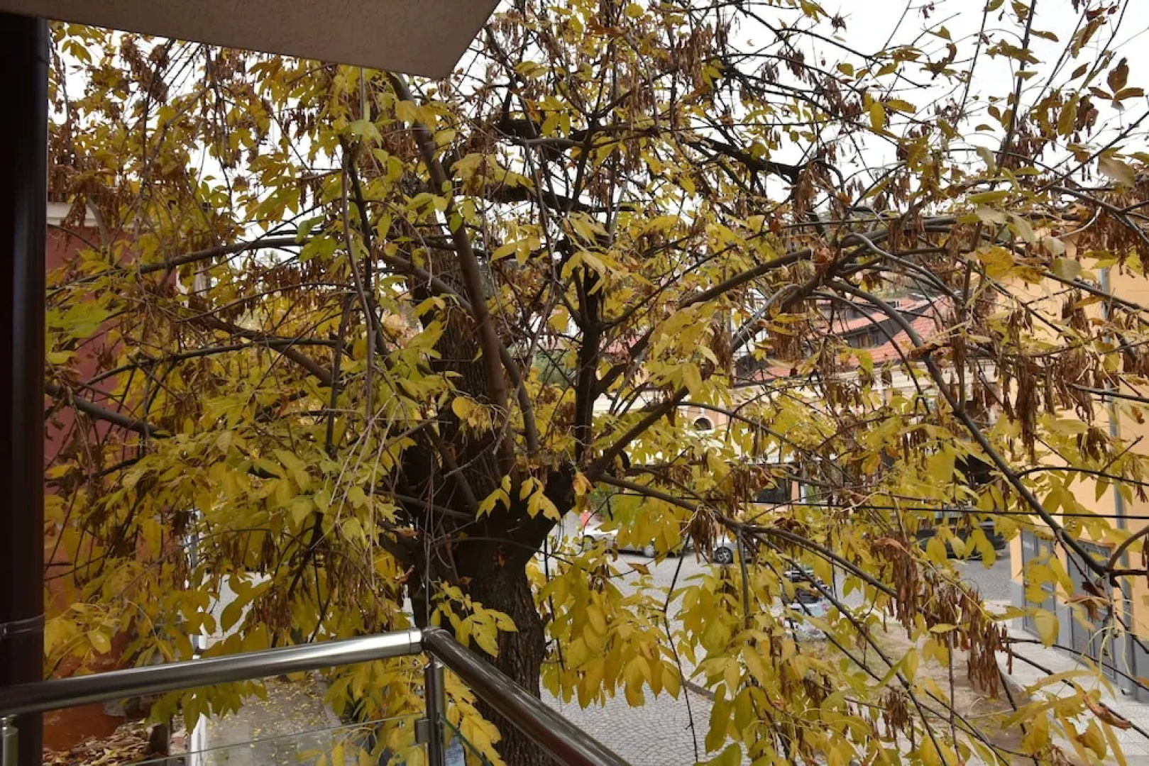 Plovdiv Apartment