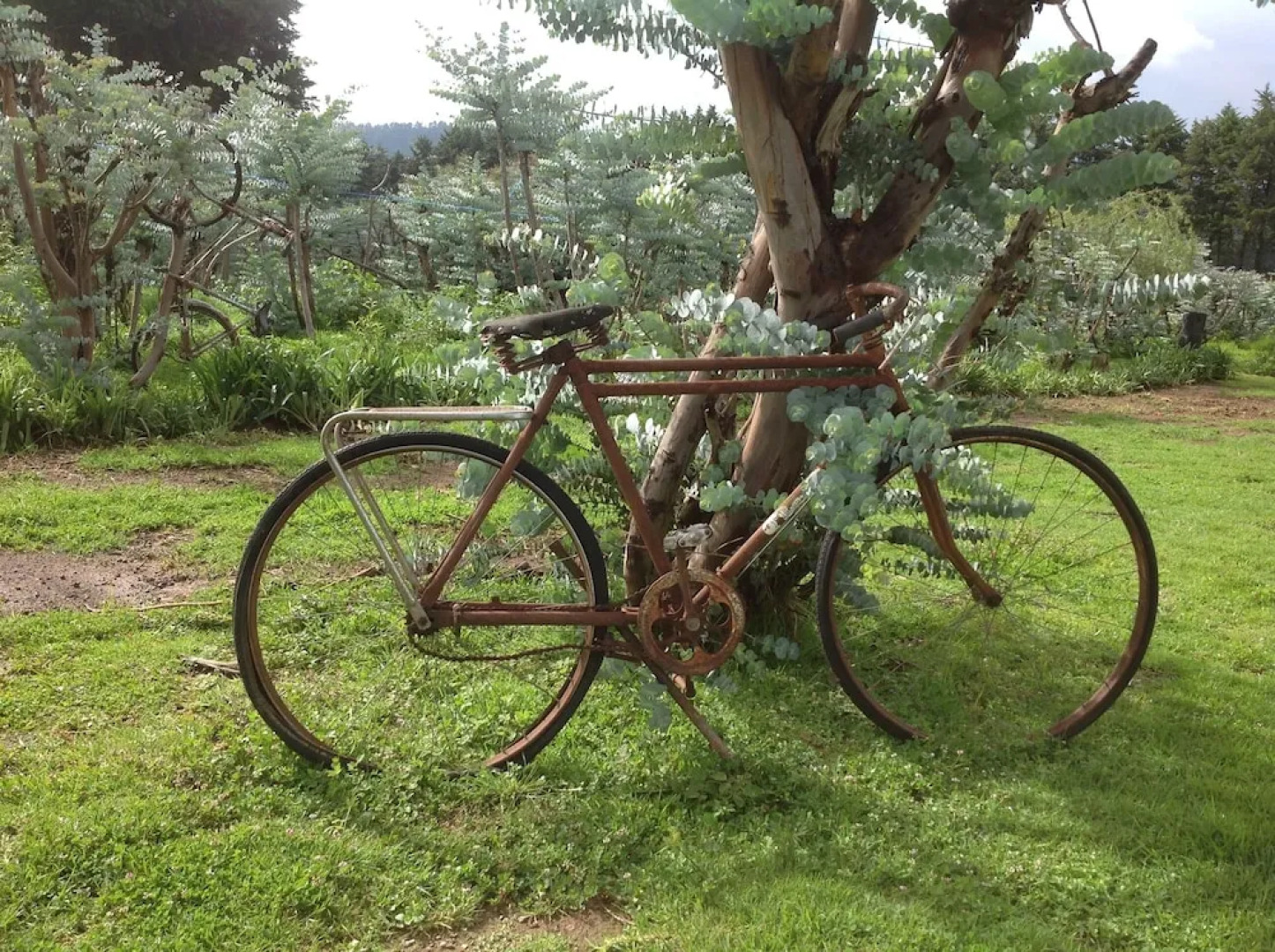 Rancho El Caballero Hotel