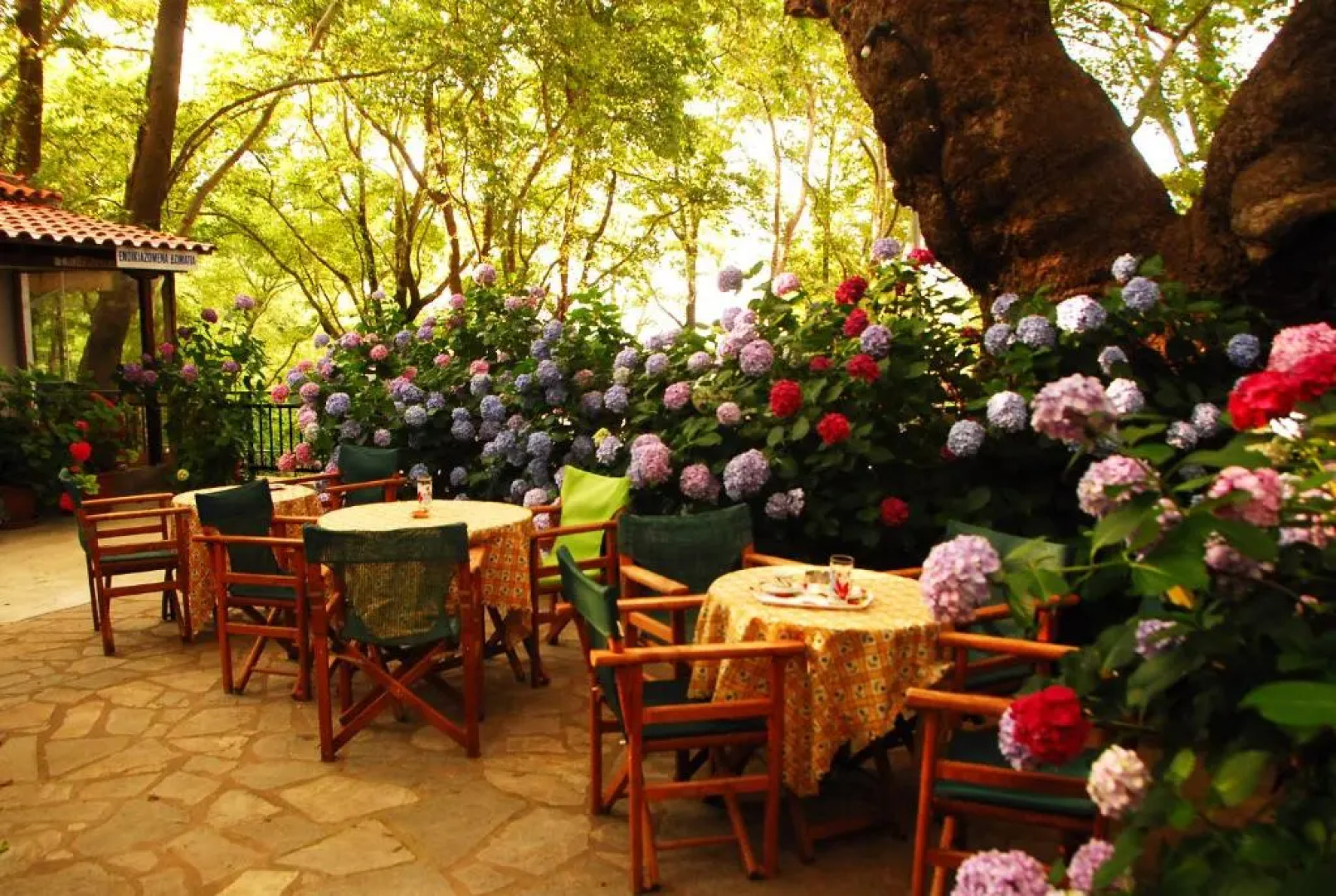 Tasoula Parselia Studios