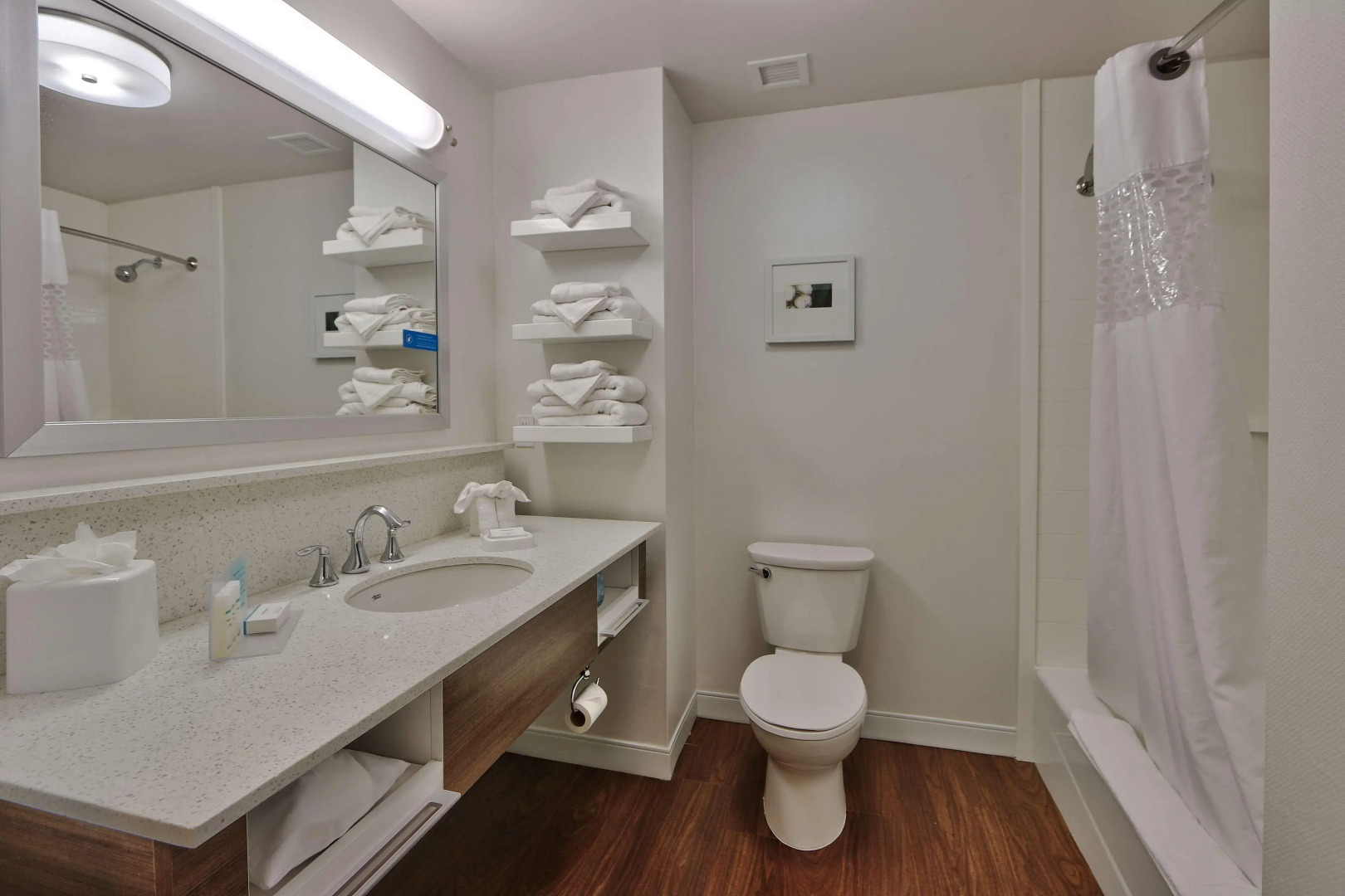 Hampton Inn & Suites Las Cruces I-10