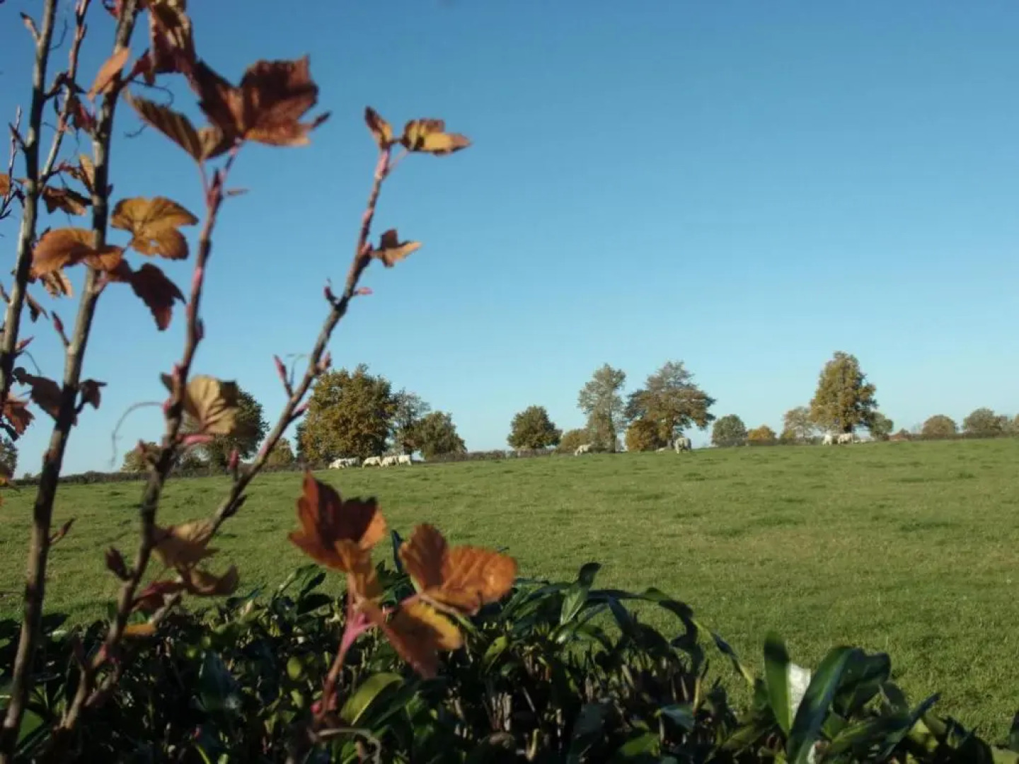 Gîte Verneix, 4 pièces, 6 personnes - FR-1-489-83