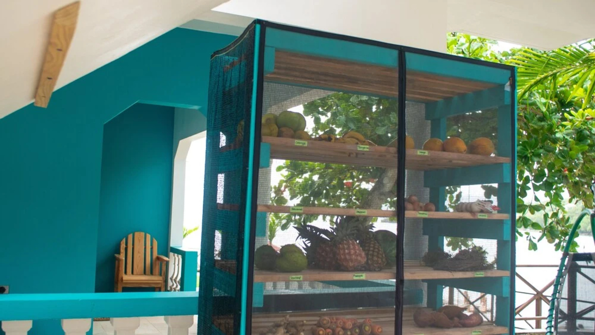 Vital Frequency Retreat