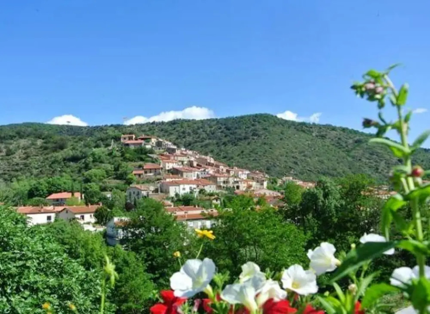 Apartment With one Bedroom in Ria-sirach, With Wonderful Mountain View, Enclosed Garden and Wifi - 40 km From the Slopes