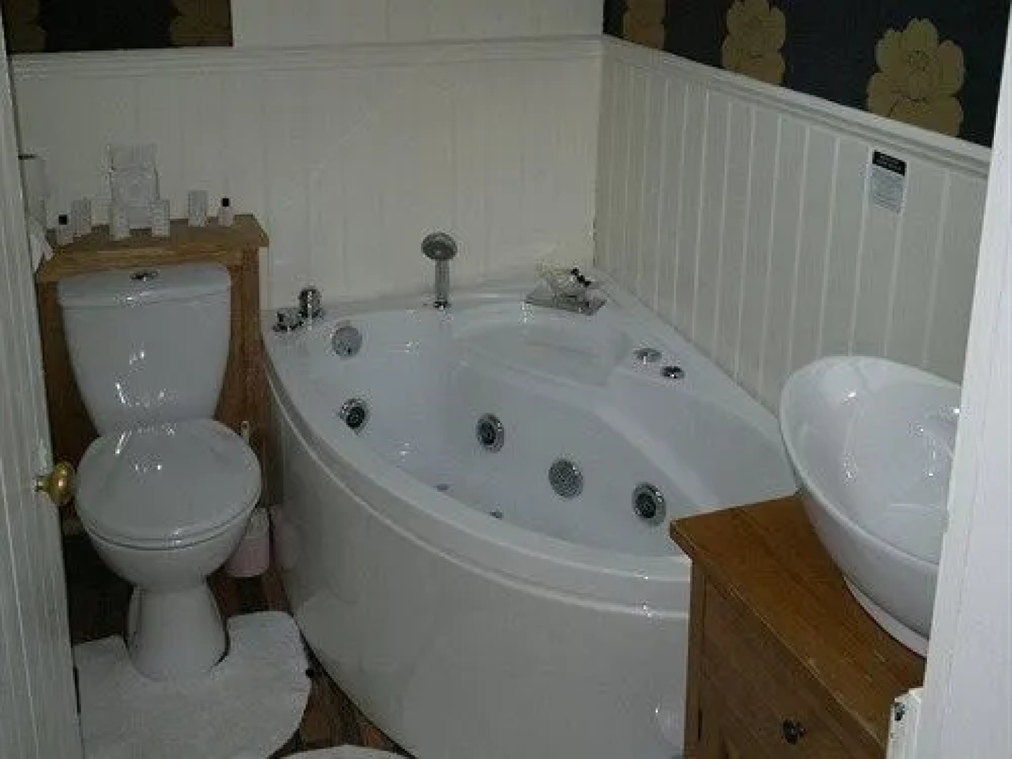 Plas Dolmelynllyn Country Hotel