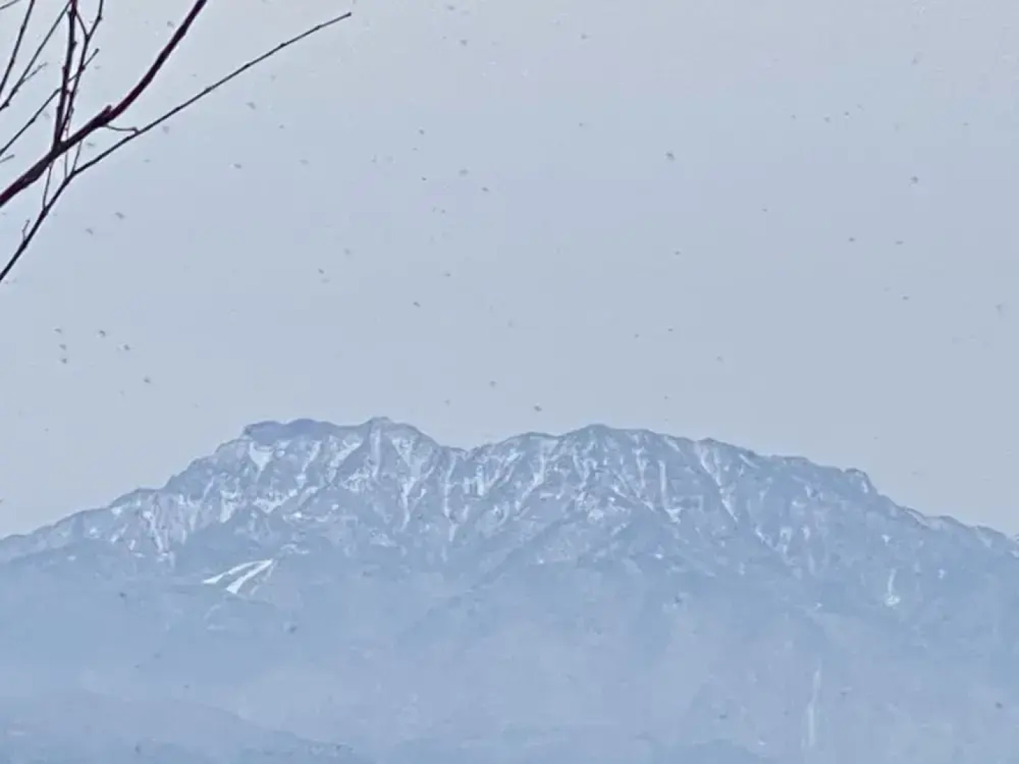 HOTEL OASIS - Adults Only