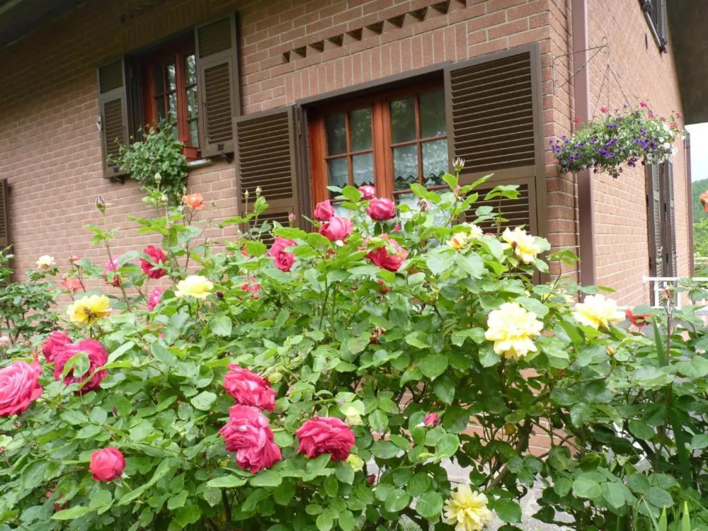 B&B The Roses Garden