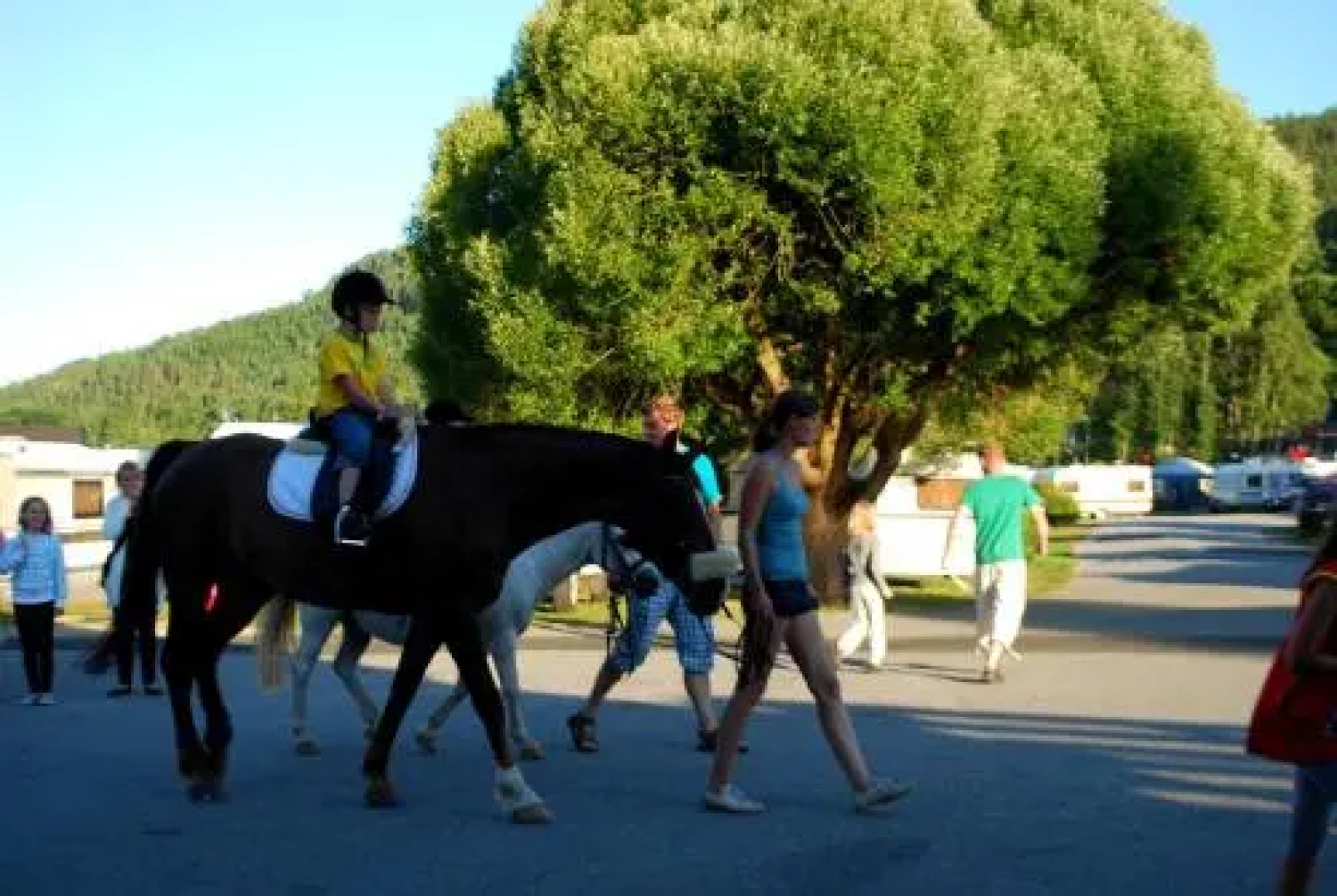 Beverøya Hytteutleie og Camping