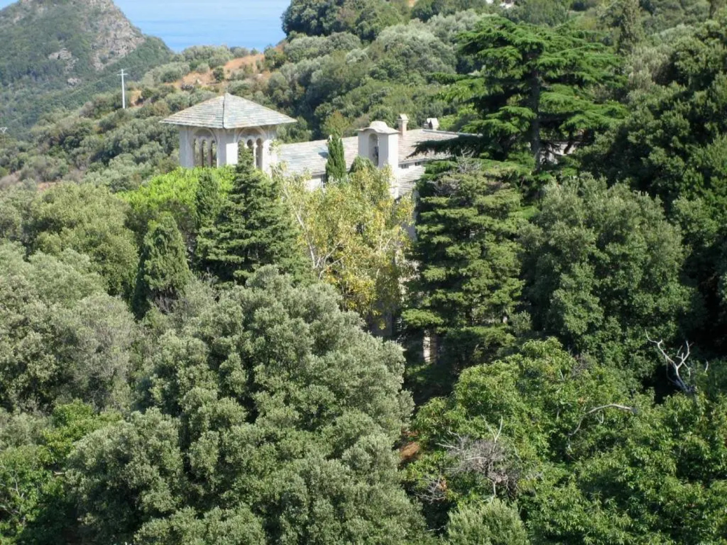 Château Cagninacci B&B