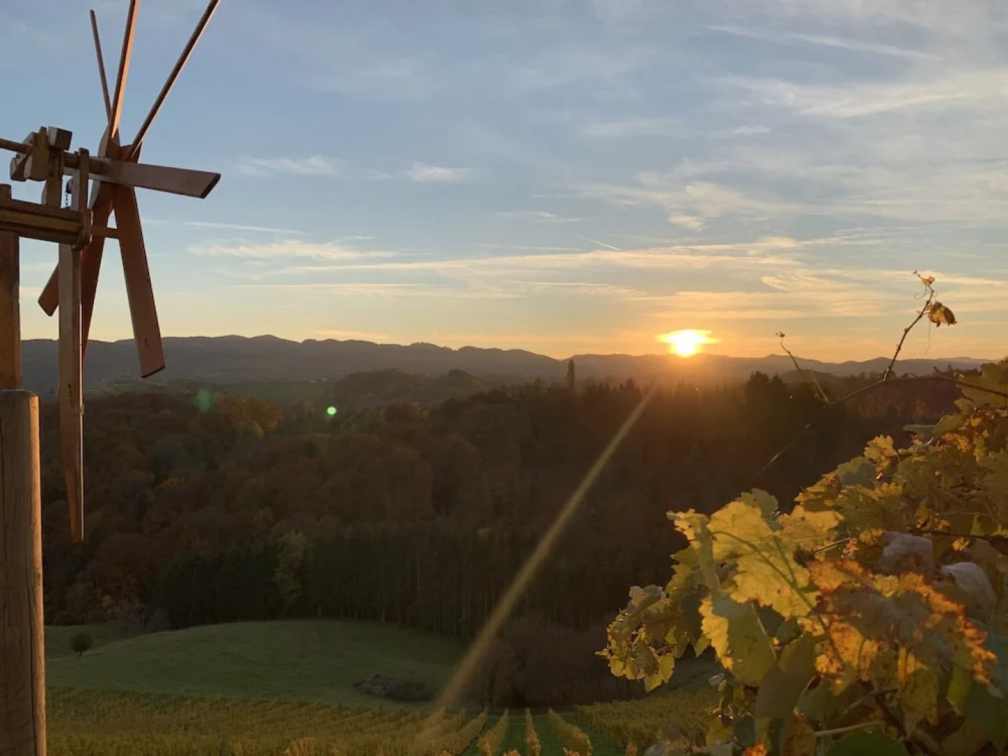 Apartment Weingartenblick