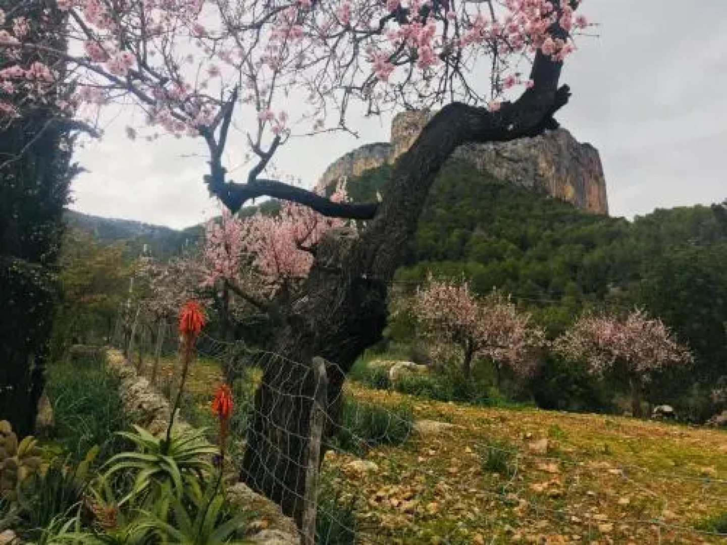 Boutique Villa Alaro