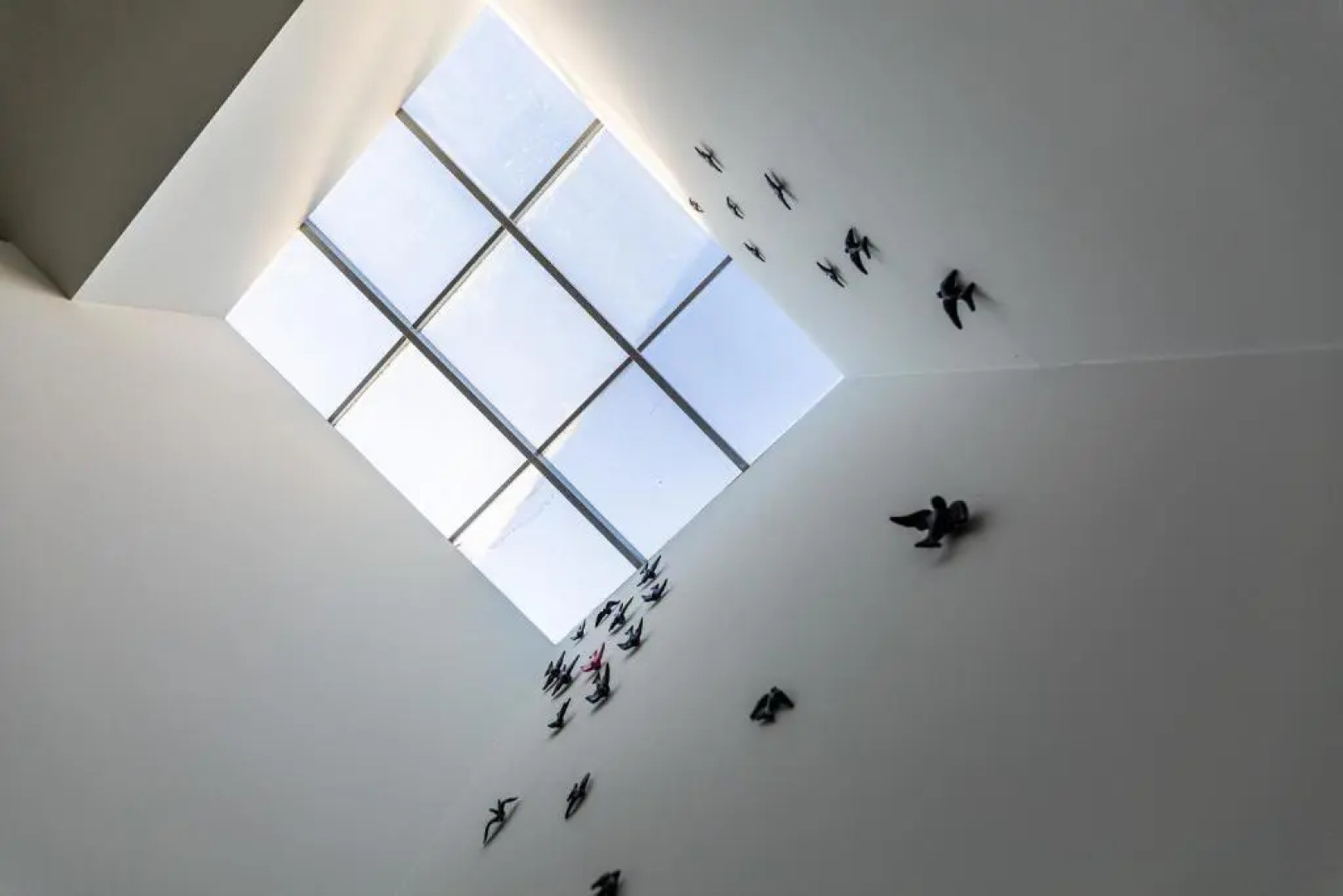 Boutique e Villas Boliqueime