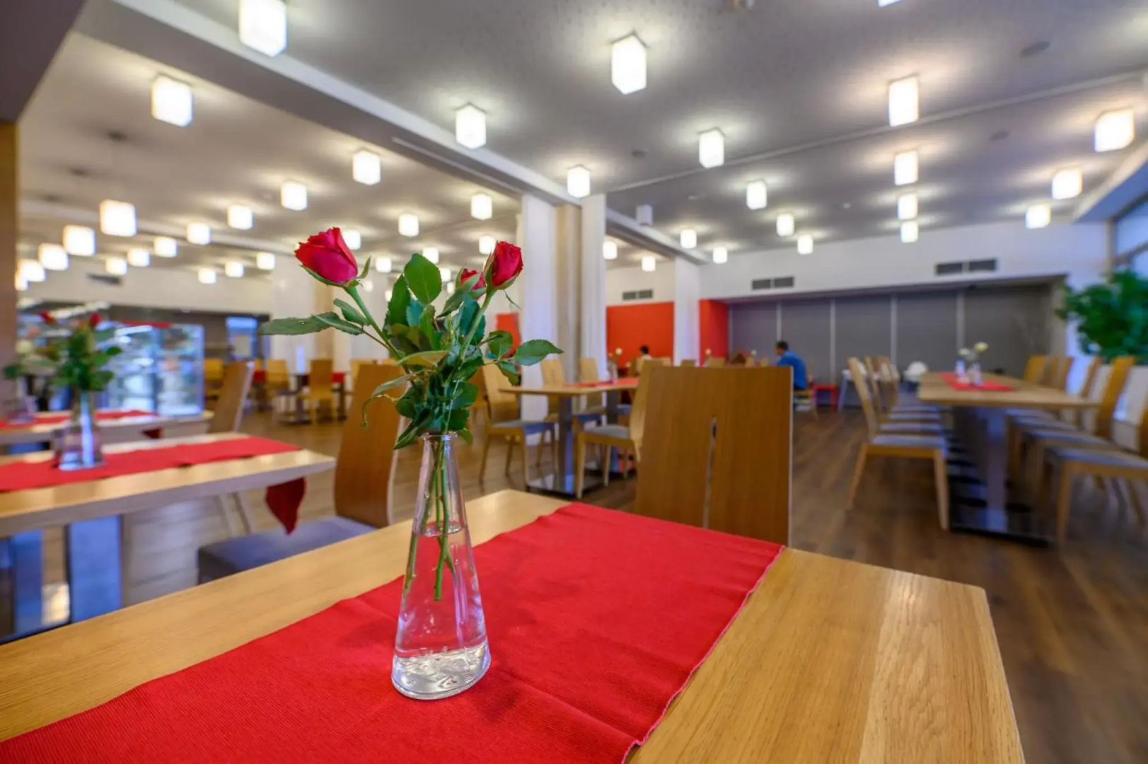 Hotel Atom Třebíč